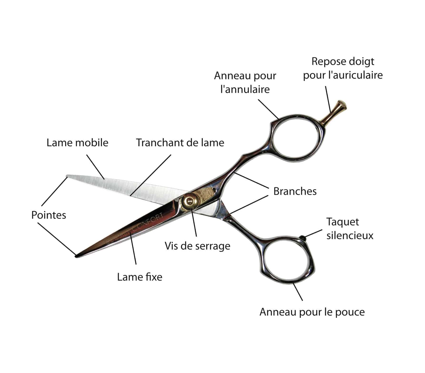 Ciseaux droit droitier taille 5 - La Beauté Professionnelle | La Beauté Pro