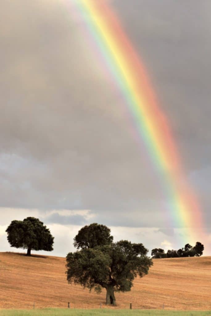 Arc en ciel