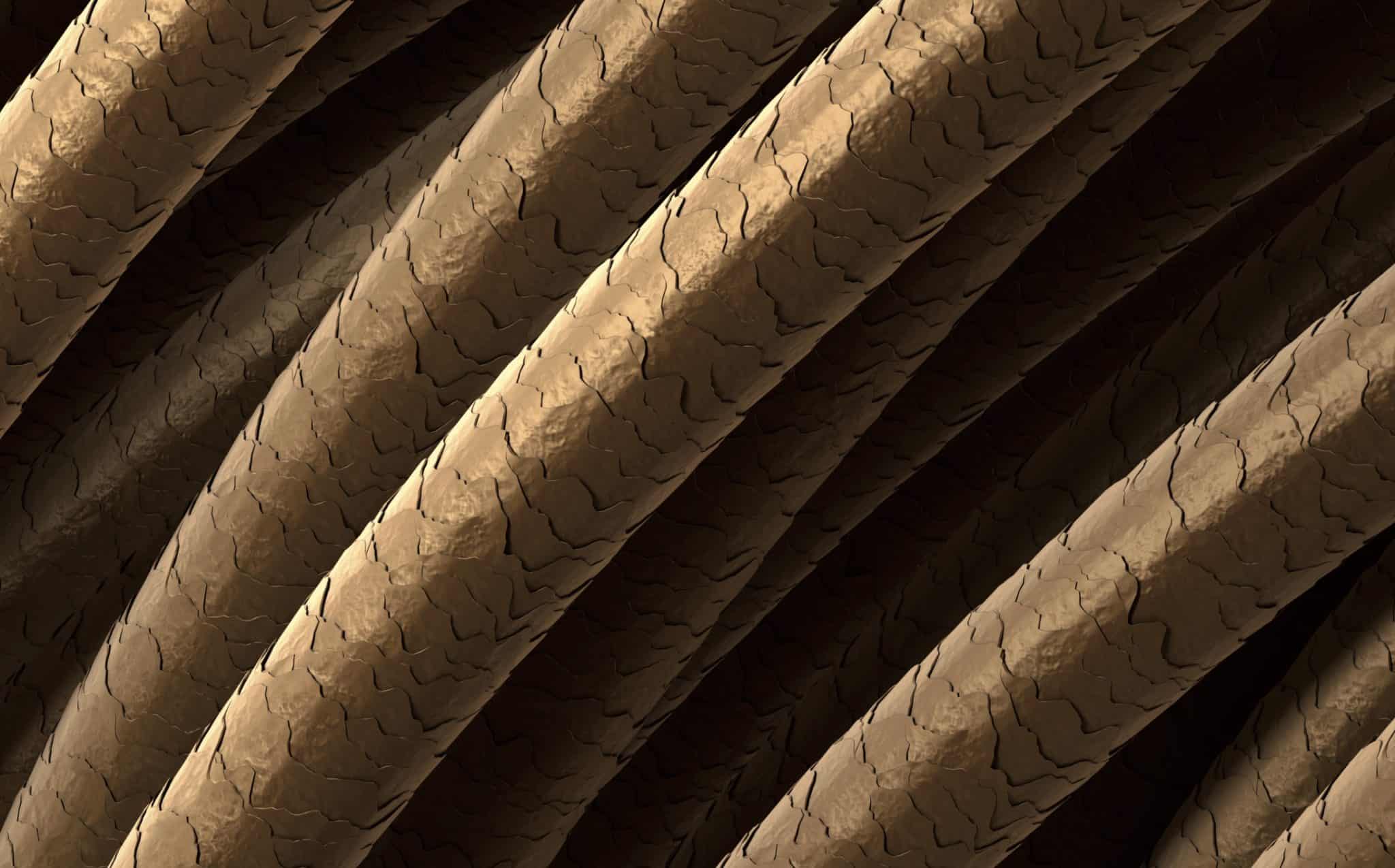 Dictionnaire du Coiffeur, Définition cuticule Culture Coiffure