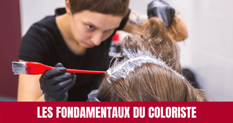 La coloration méthode globale – Culture Coiffure