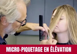 Technique de Micro-Piquetage en Élévation