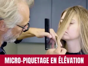 Technique de Micro-Piquetage en Élévation