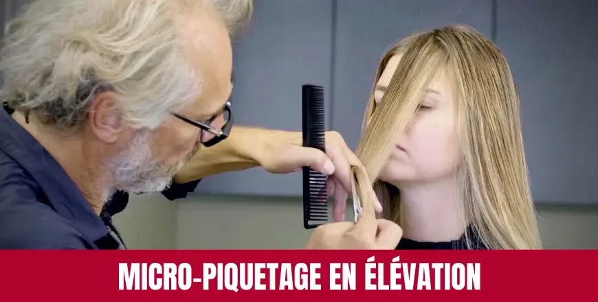 Technique de Micro-Piquetage en Élévation