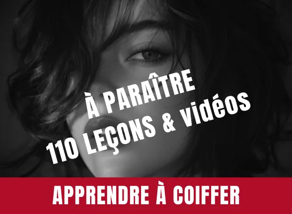 TECHNIQUES DE COIFFAGE2.png